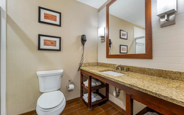 Comfort Inn & Suites Triadelphia - Wheeling