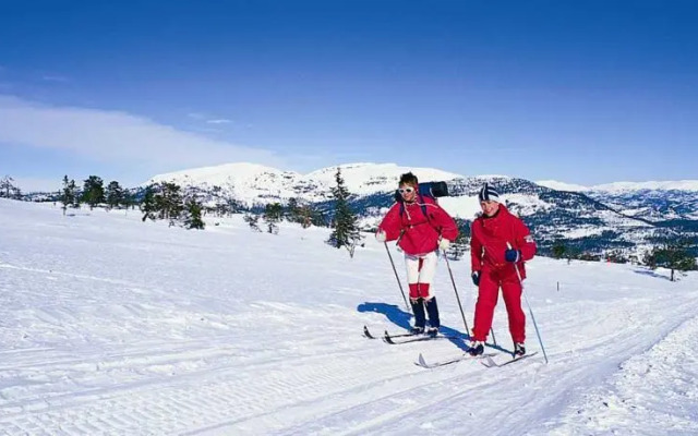 Vrådal Booking