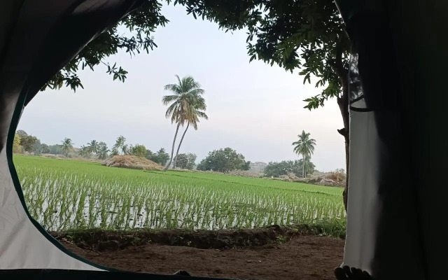 Sunrise Guest House & Restaurant