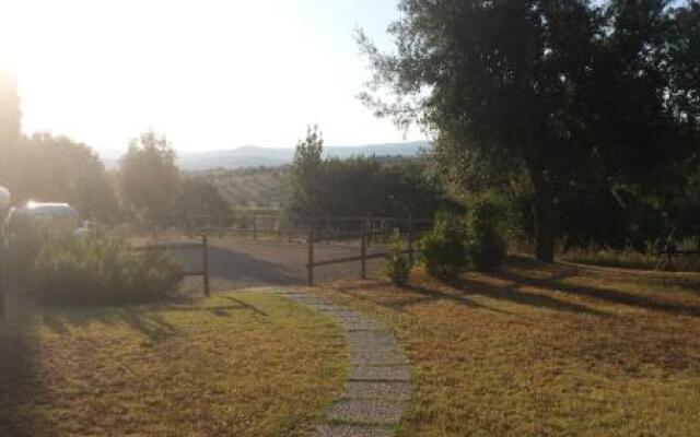 Agriturismo Podere Selvette