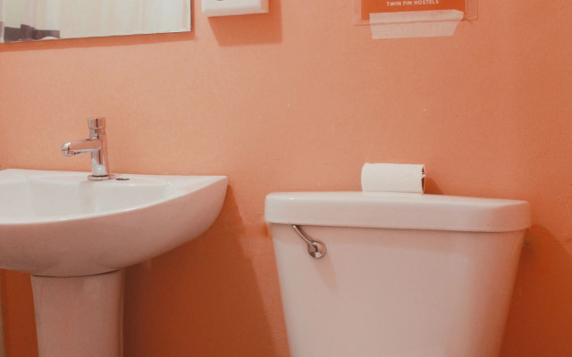 Twin Fin Hostels