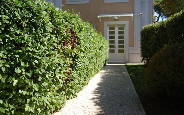 Ceccarini Suite