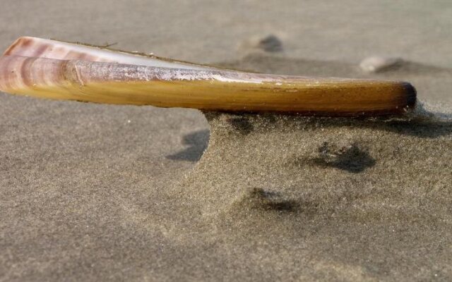 Hotel Brasserie Om de Noord