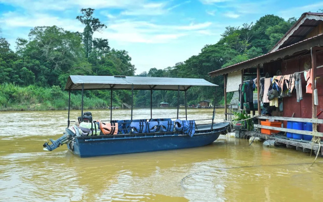 Hotel O Asiacamp Resort National Park Kuala Tahan