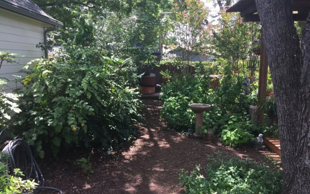 Lucille's B&B