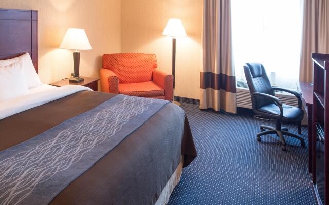 Comfort Inn Anderson South