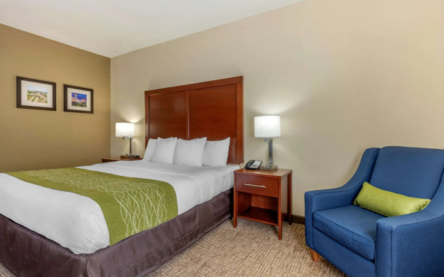Comfort Inn Lenoir City-Knoxville