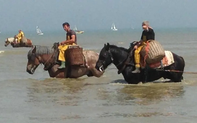 Lermitage Oostduinkerke