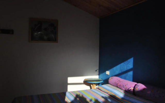 La Vite sul Tetto
