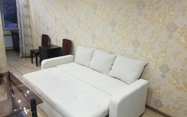 Luxury Apartment-3 in the Center of Yerevan, Safaryans Family