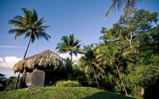 Lower Dover Jungle Lodge & Maya Ruins - Hostel