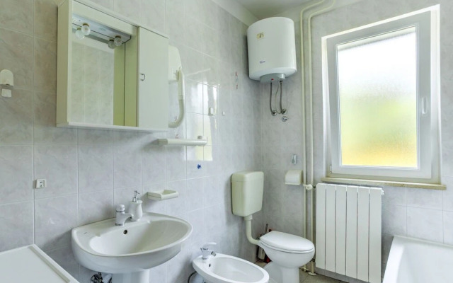 Laurus Tuli Evica in Tuli Evica