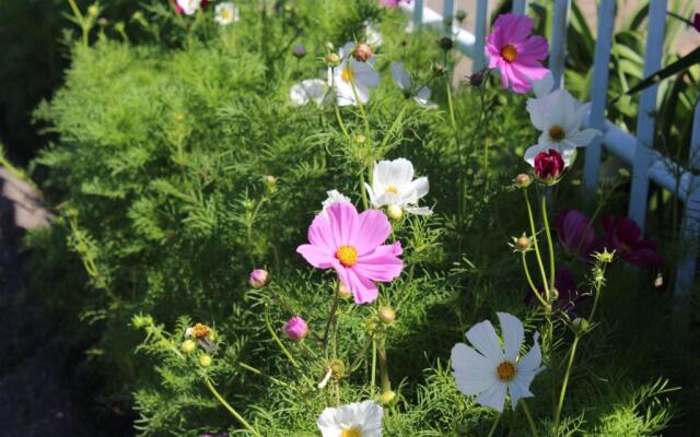 Ons Dorpshuis Beaufort West