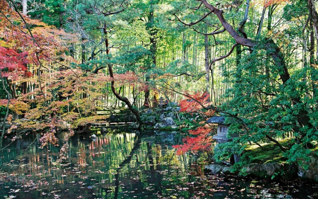 Kyoto Home Higashikujo