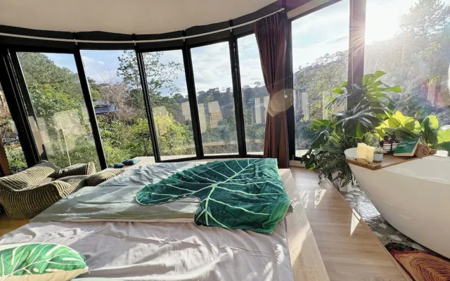 Dong Homestay