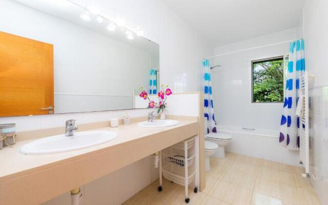 La Vinya del Beato 1950