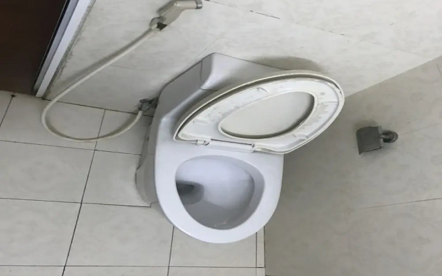 Oyo 442 Holiday Hotel