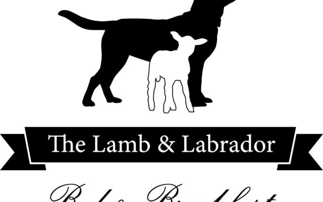 The Lamb and Labrador