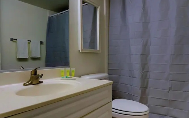 Close to Airport in Crystal City