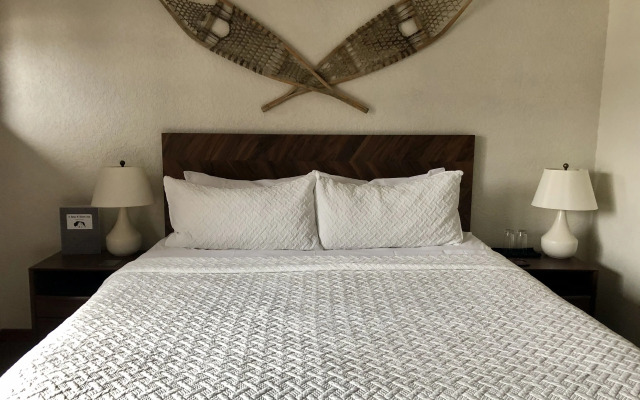 A Bear and Bison Inn