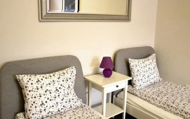 Castle and Danube Panorama