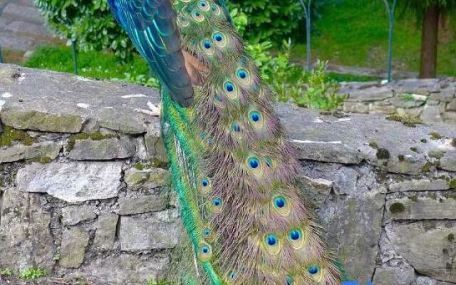 Maison New Century Hotel Yingzhou Yancheng