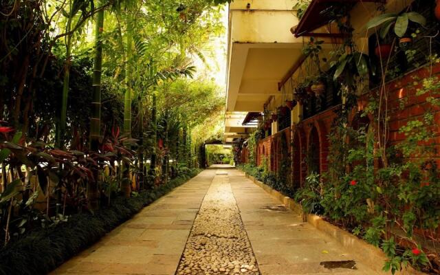 The Green Path