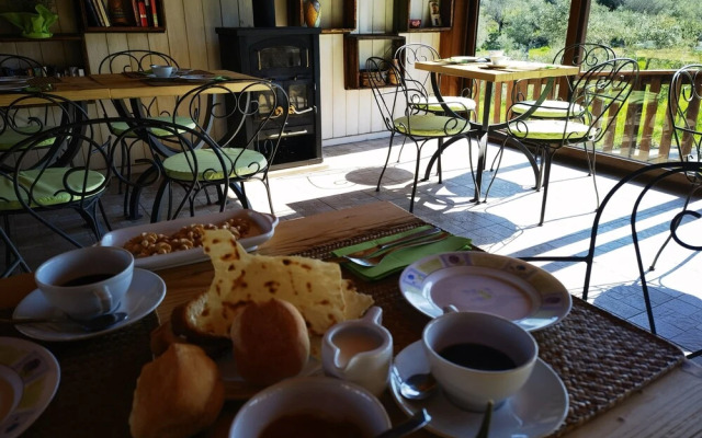 la corte degli ulivi