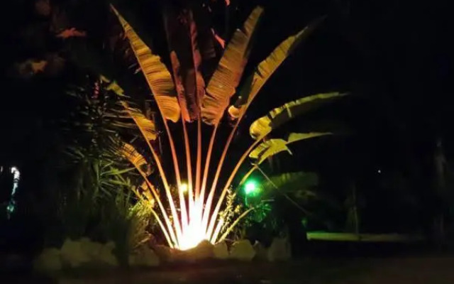 Casa Selva Orquideas