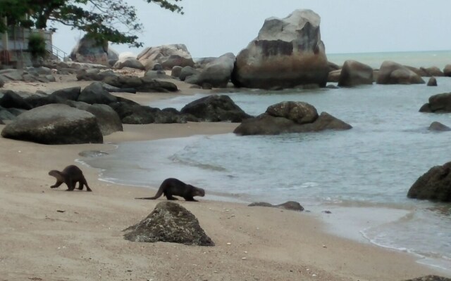 Delite Guest House No 13 @ Batu Ferringhi