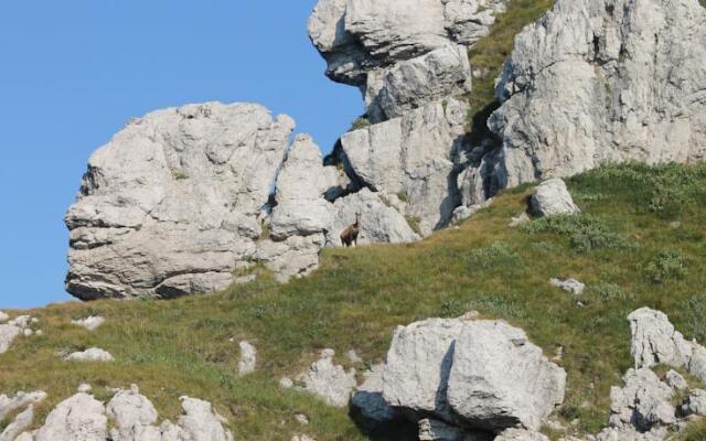 Rifugio Marchett