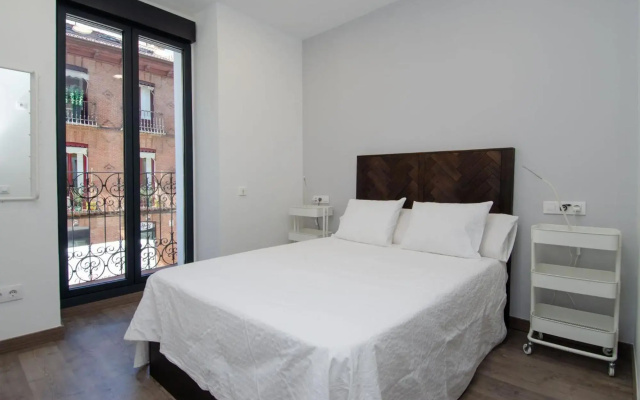 APARTAMENTOS VIVE MADRID - Casa Duque