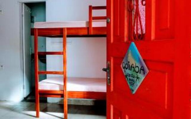 Ecotrip Hostel