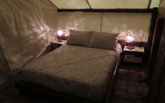 Glamping tipo safari