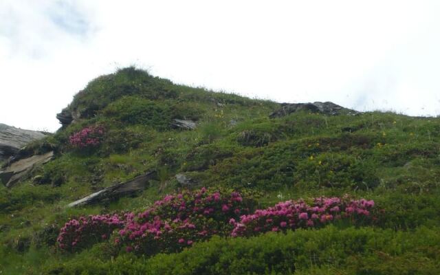 Bed and Breakfast Casa San Gallo