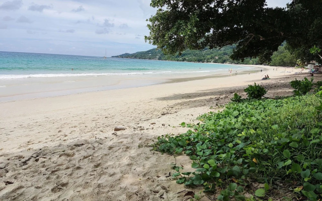 Riverside Mount Simpson - Seychelles Island