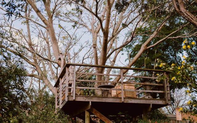 Emily Moon River Lodge