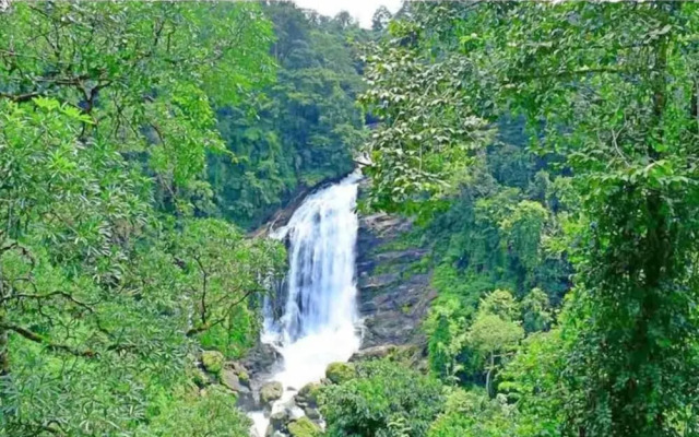Hotel C7 Munnar