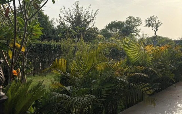 The Greenwood Farm And Lawn -Bijwasan