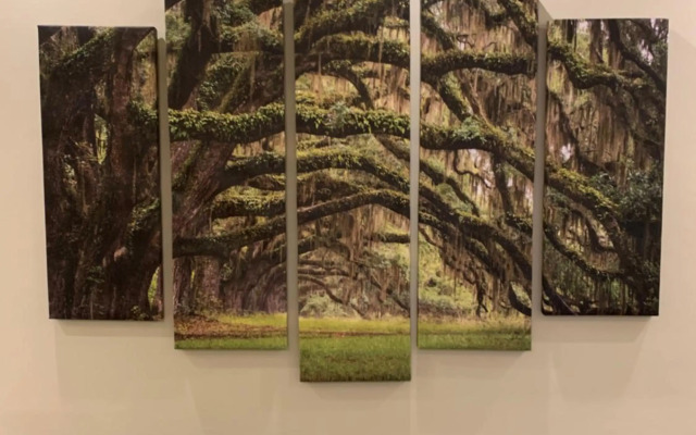 Thess Nature Apartment