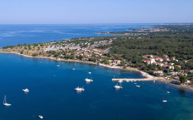 Luxurious Villa Novigrad With Swimming Pool