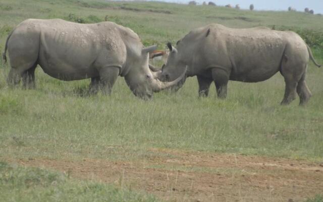 Enchoro Wildlife Camp