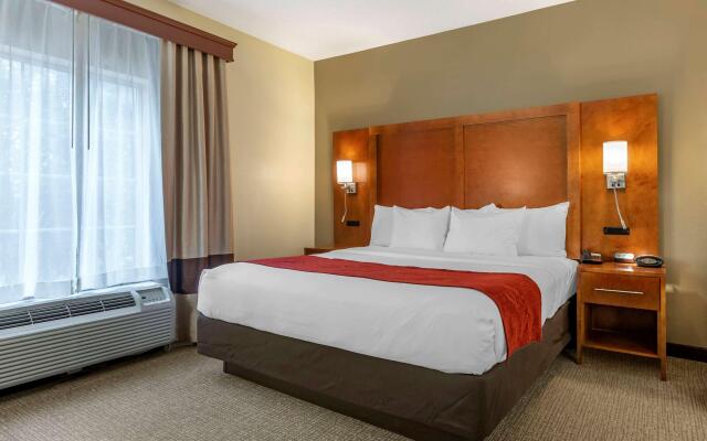 Comfort Suites Newark - Harrison