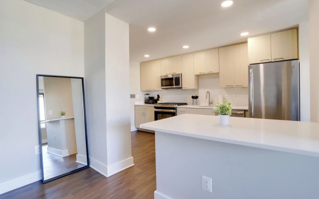 Crystal City Modern Apt w Gym