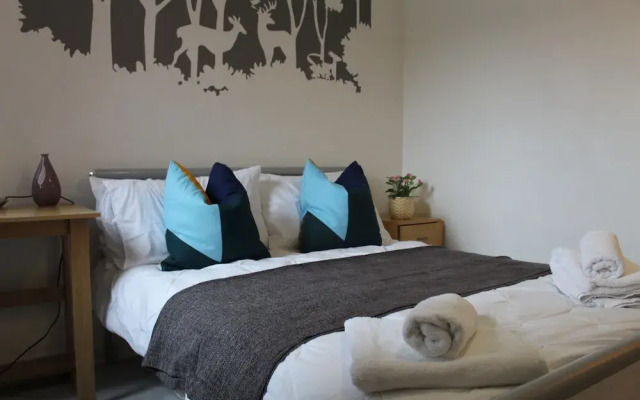 Modern Apartment-Comfortable And Central
