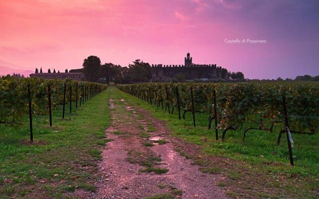 Wine & Lake In Franciacorta