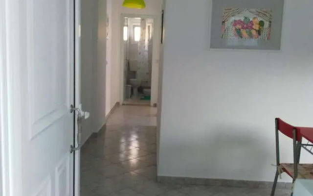 Falopa Apartments