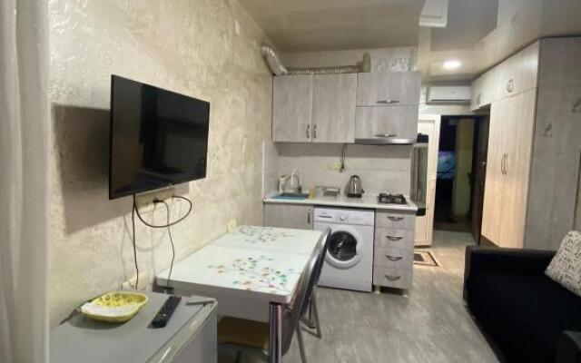 Apartment studio maksim