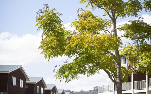 Oceans Resort Whitianga