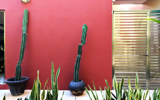 Buena vida